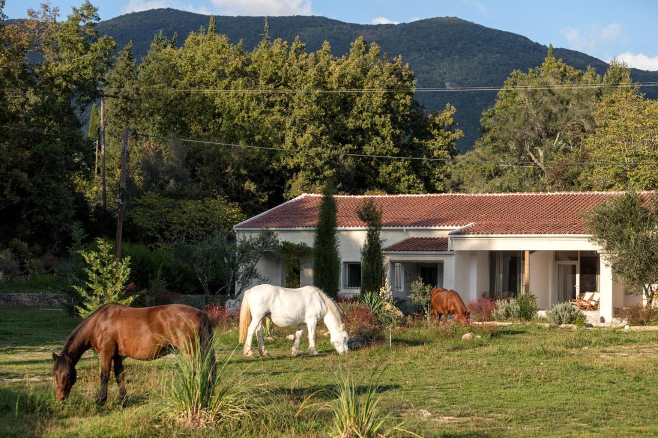 Luna Inn B&B Faiakes Exteriör bild